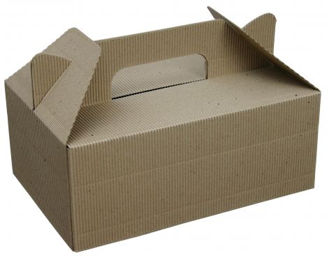 carry_box_1.jpg